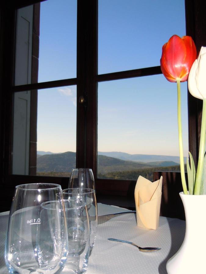 Hotel-Restaurant Mont Sainte-Odile 奥特罗特 外观 照片